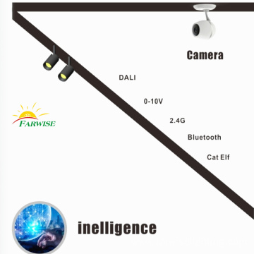 Magnetic linear light system